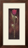 Buy Mystic Tulip Dark Red at AllPosters.com