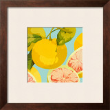Buy Fresh Grapefruits at AllPosters.com