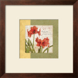 Buy Garden Inspiration IV at AllPosters.com