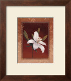 Tiger Lily