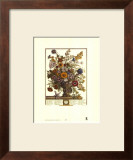 Twelve Months of Flowers, 1730, November