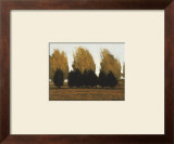 Buy Near Vado at AllPosters.com