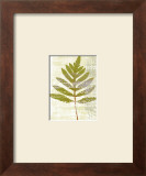 Buy Breathe at AllPosters.com
