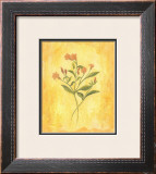 Buy Country Flowers II at AllPosters.com