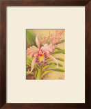 Buy Pink Cattleya at AllPosters.com