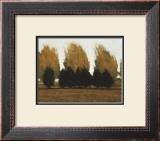 Buy Near Vado at AllPosters.com