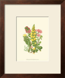 Buy Summer Garden X at AllPosters.com