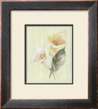 Buy Calla Lily IV at AllPosters.com