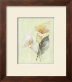 Buy Calla Lily IV at AllPosters.com