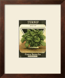 Buy Turnip at AllPosters.com