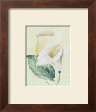 Buy Calla Lily I at AllPosters.com