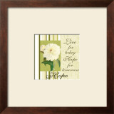 Spring Peony: Hope