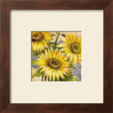 Buy Magnificent Suns at AllPosters.com