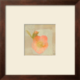 Hellebore II