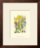 Buy Summer Garden III at AllPosters.com
