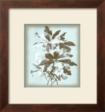 Buy Dussurgey Ellebore on Blue at AllPosters.com