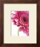 Buy Pretty In Pink at AllPosters.com