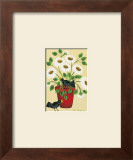 American Flowers IV