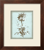 Buy Dussurgey Imperiale on Blue at AllPosters.com