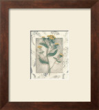Yarrow