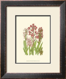 Buy Summer Garden VII at AllPosters.com