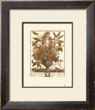 Twelve Months of Flowers, 1730, January