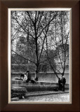 Buy Quai d'Orlean Face a Notre Dame, c.1970 at AllPosters.com