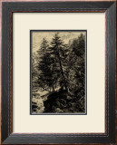 Buy Larch Tree at AllPosters.com