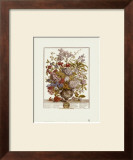 Twelve Months of Flowers, 1730, July
