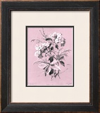 Buy Dussurgey Hydrangea on Pink at AllPosters.com