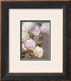 Hortensia Lila