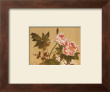 Buy Songbird II at AllPosters.com
