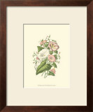 Buy Summer Garden V at AllPosters.com