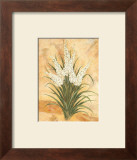 Buy White Surprise at AllPosters.com