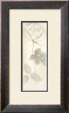 Buy Armonia con Sentimento at AllPosters.com