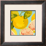Buy Fresh Grapefruits at AllPosters.com