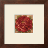 Buy Sacred Rose II at AllPosters.com