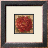 Buy Sacred Rose I at AllPosters.com