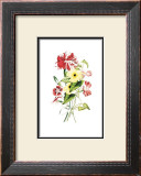 Buy Flowers at AllPosters.com
