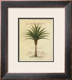 Buy La Botanique at AllPosters.com