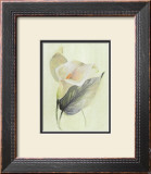 Buy Calla Lily III at AllPosters.com