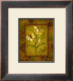 Buy Garden Lilies I at AllPosters.com