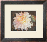 Buy Eastern Beauty II at AllPosters.com