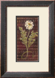 Buy African Daisy I at AllPosters.com