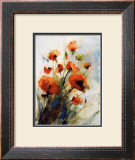 Buy Mohn at AllPosters.com