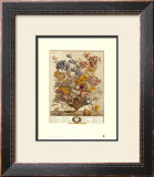 Twelve Months of Flowers, 1730, April