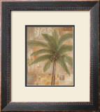 Tropical Spirit II Framed Art Print