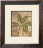 Tropical Spirit I Framed Art Print