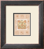 Buy Black-Eyed Susans at AllPosters.com