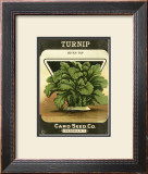 Buy Turnip at AllPosters.com